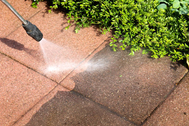 Local Pressure Washing Services in Somerton, AZ