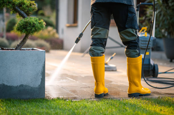 Best Exterior Home Cleaning  in Somerton, AZ